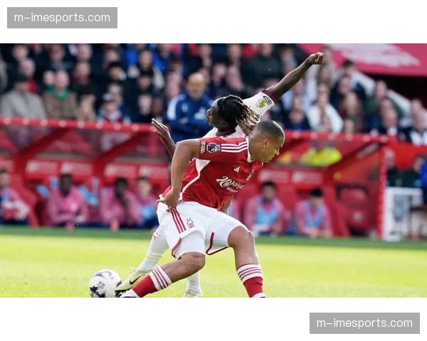 曼城1.45亿欧元签下帕尼切利与安德森,夏窗豪赌引援补强